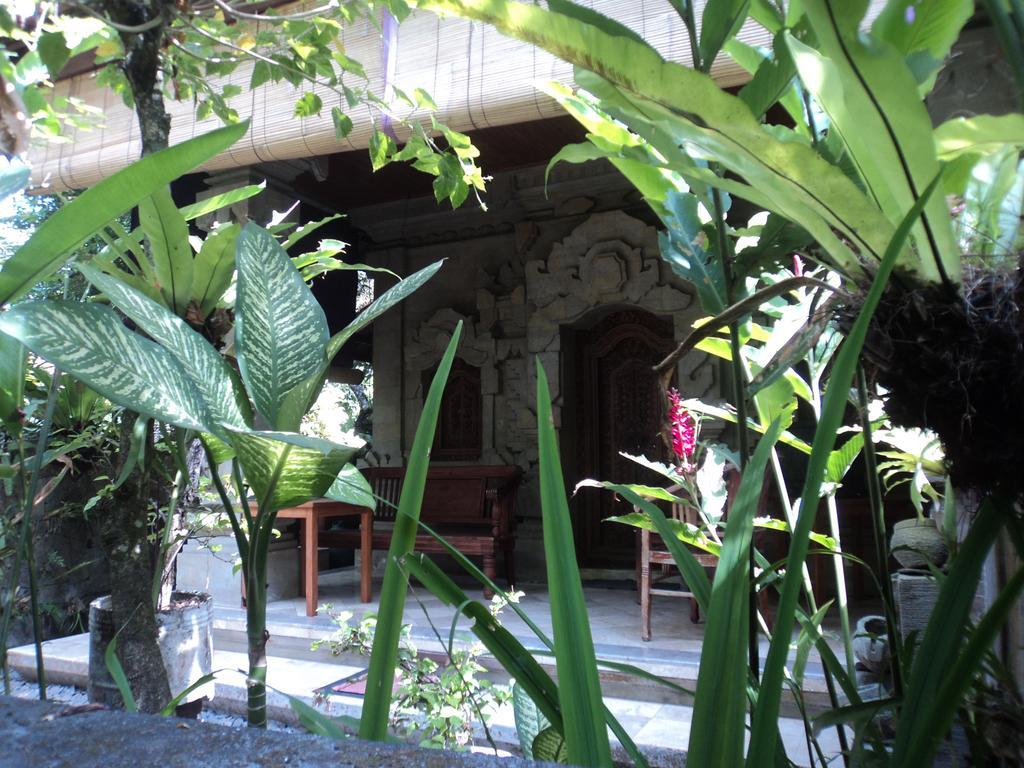 Villa Bhuana Alit Ουμπούντ Εξωτερικό φωτογραφία