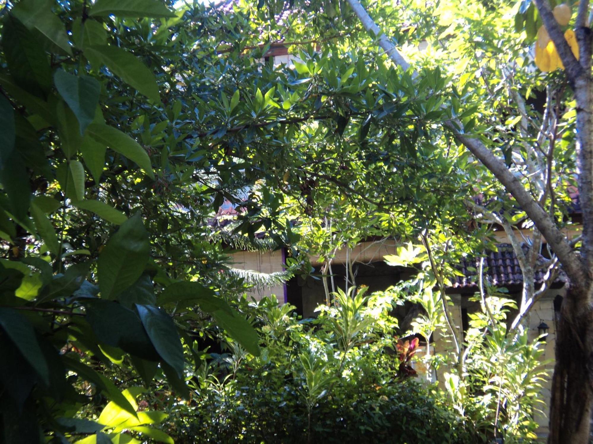 Villa Bhuana Alit Ουμπούντ Εξωτερικό φωτογραφία